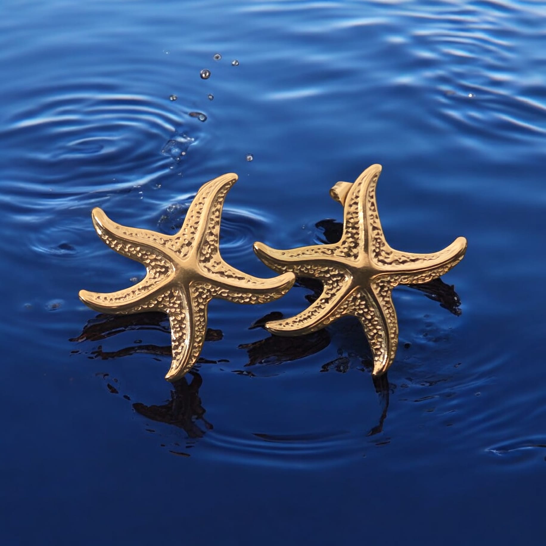 Starfish Earrings